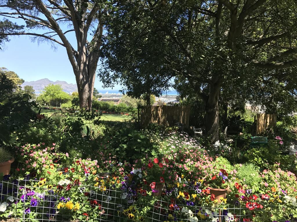 Helderbos Country House Somerset West Exteriér fotografie
